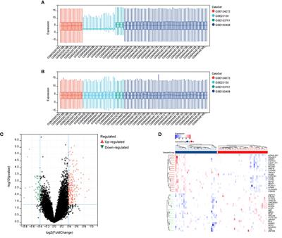 Identification of core genes in intervertebral disc degeneration using bioinformatics and machine learning algorithms